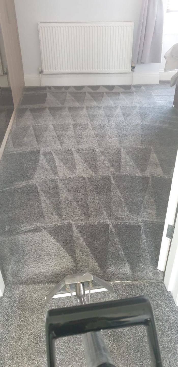 domestic carpet being cleaned in plymouth