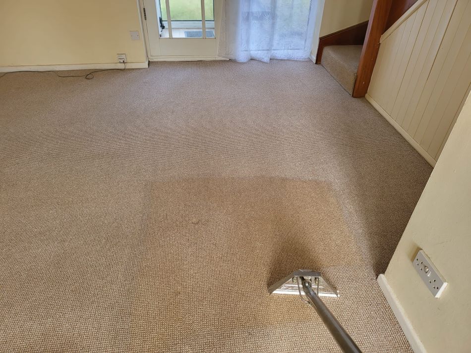 Carpet cleaning plymouth