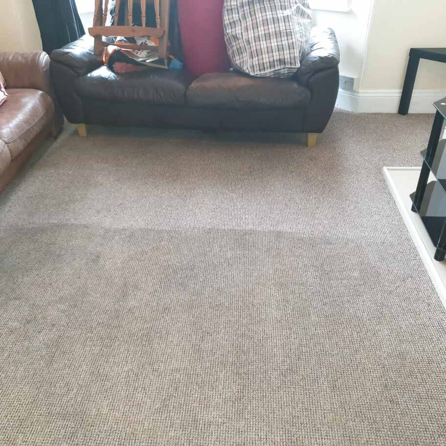 Carpet cleaned in living room