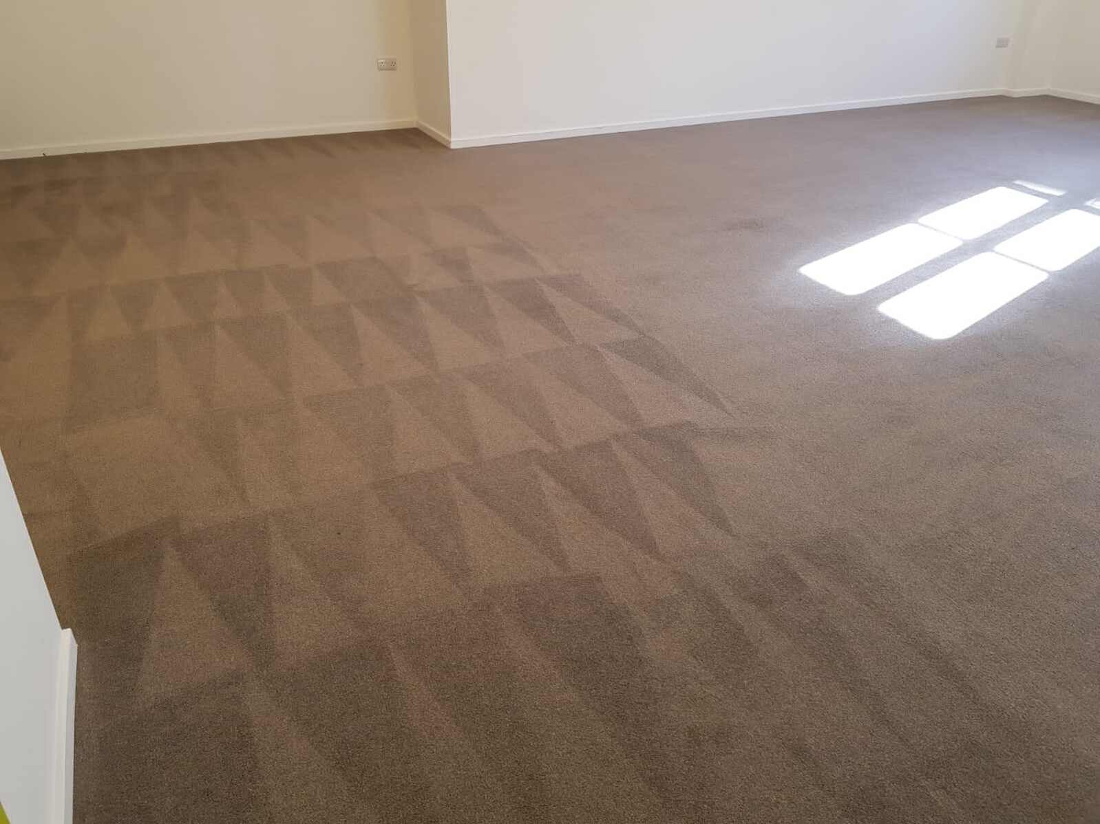 Clean carpets