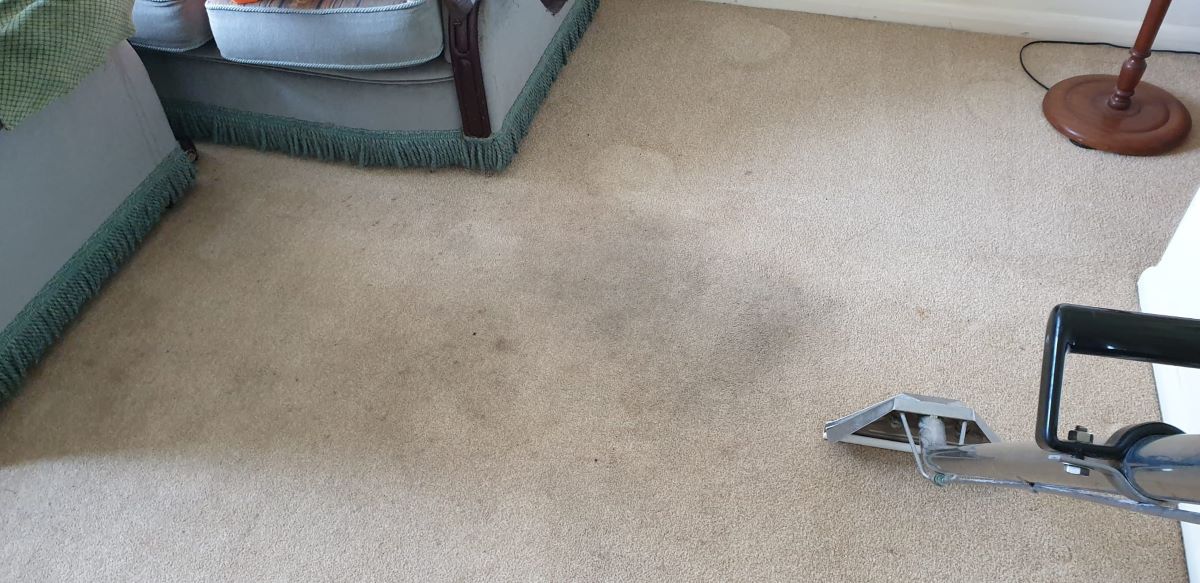 domestic carpet being cleaned
