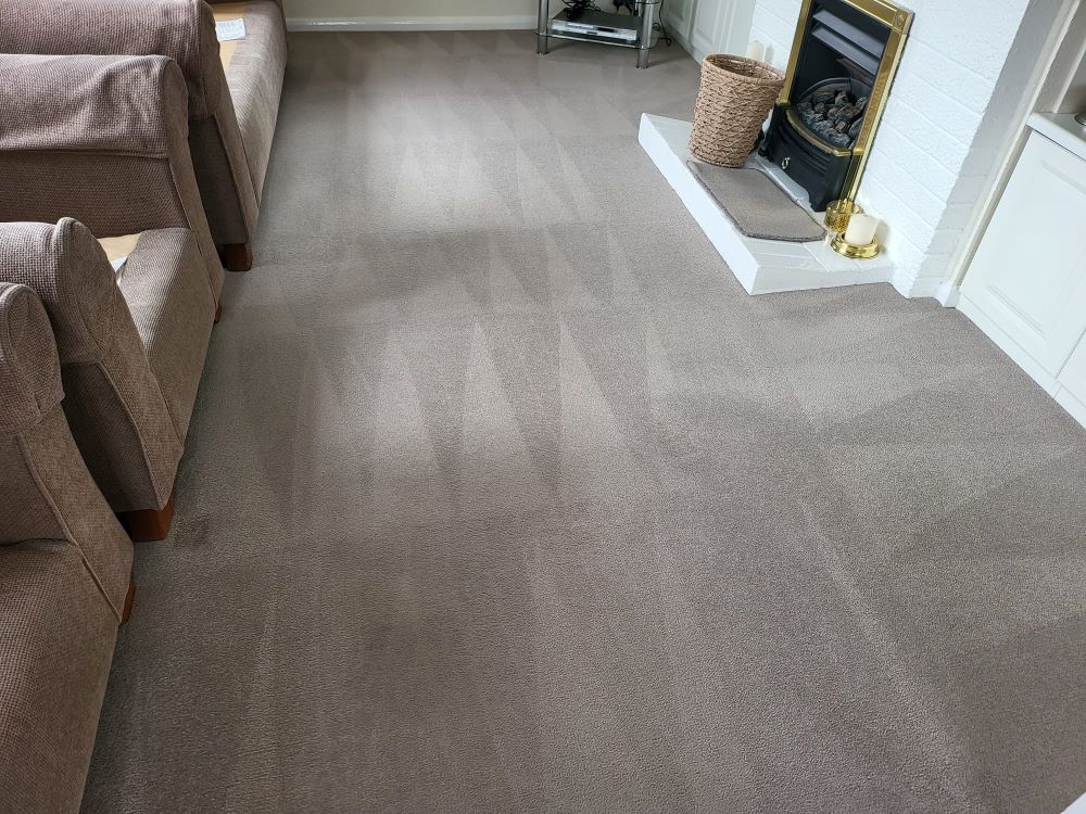 clean carpets in plymouth