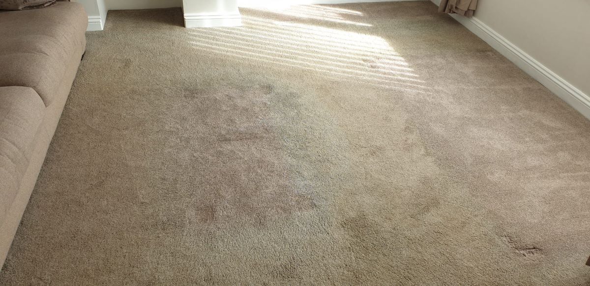 dirty living room carpet before cleaning