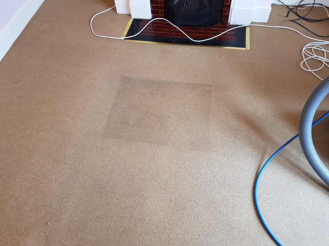 Lounge carpet being cleaned