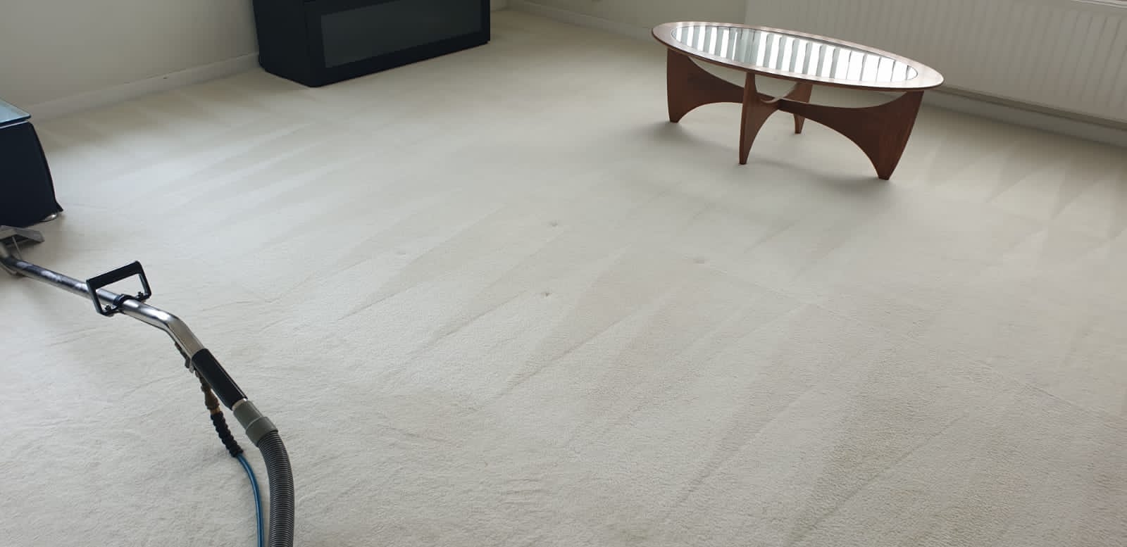 Carpet and Upholstery Cleaners in Plymouth