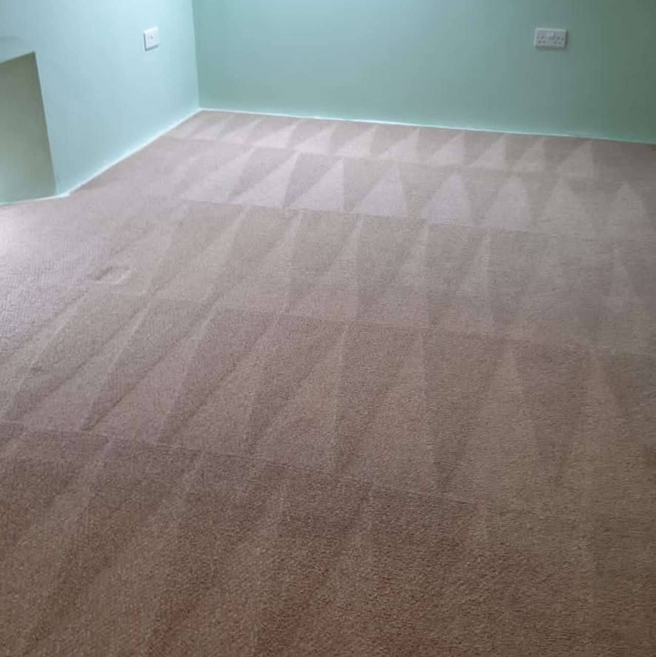 Carpet cleaned in home