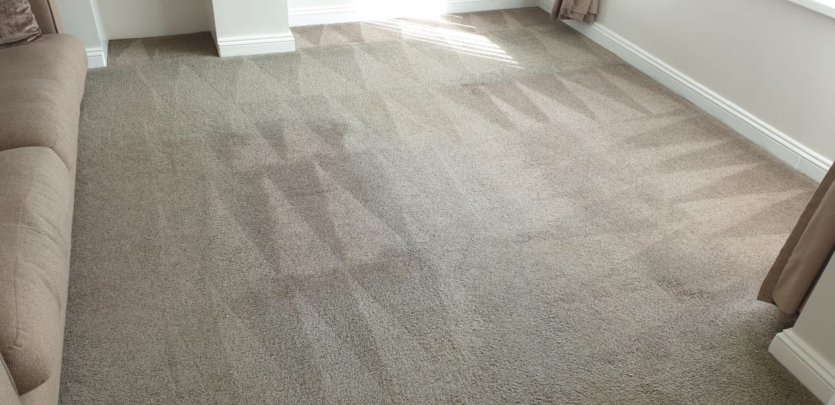 Clean living room carpet plymouth
