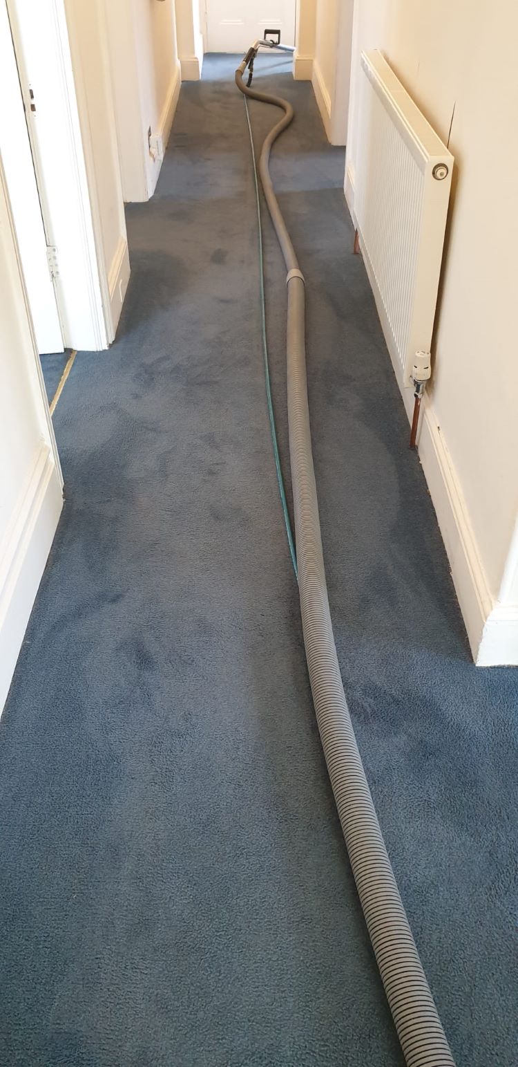 Commercial carpet cleaning plymouth