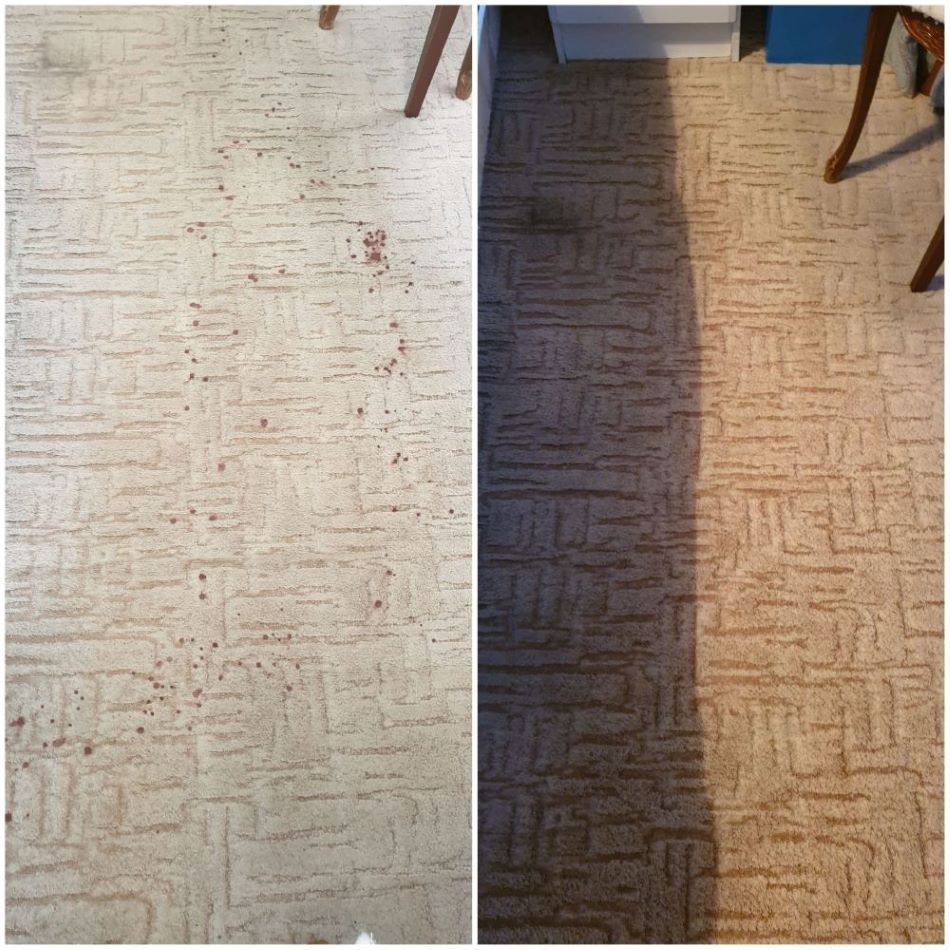 Domestic carpet cleaning plymouth - before and after