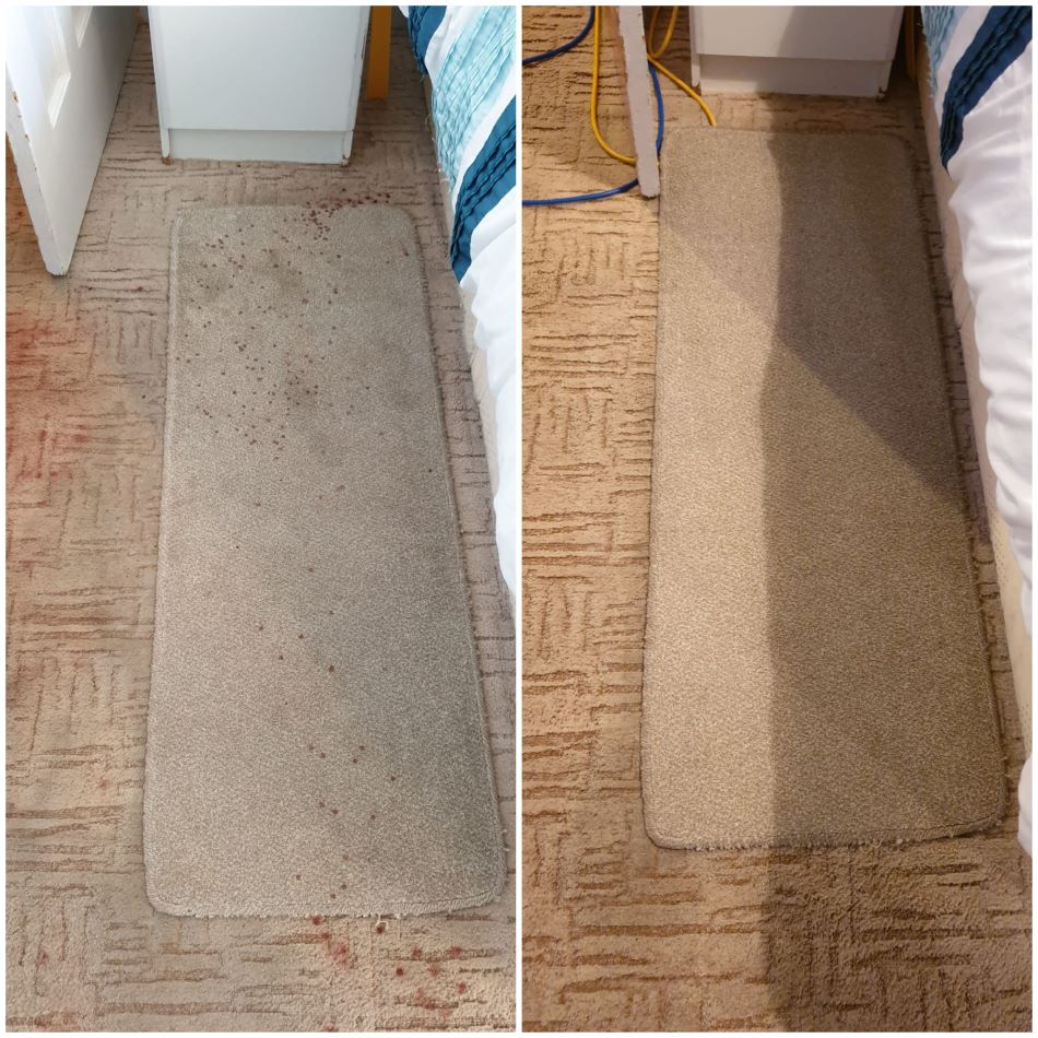 rug cleaning plymouth - before and after