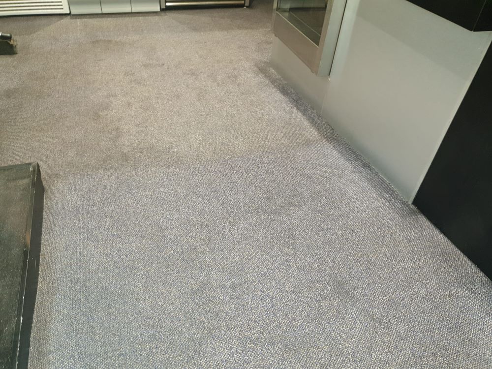 Clean domestic carpet
