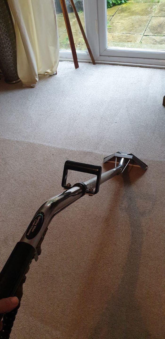 Cleaning carpets in a house in plymouth