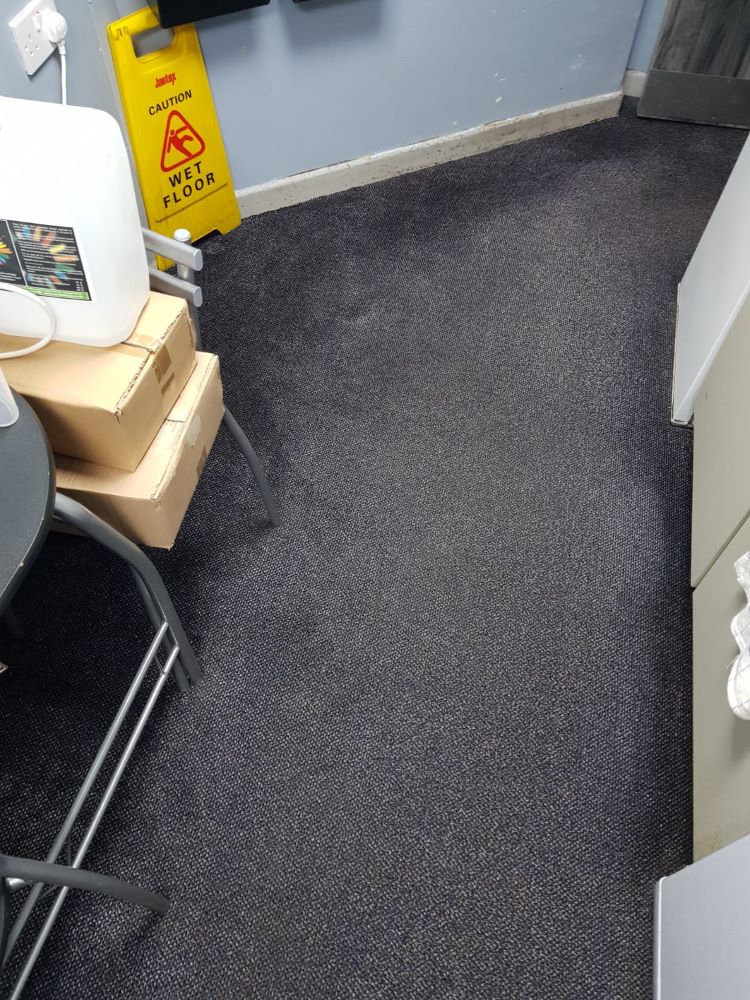 Commercial carpet cleaning plymouth after