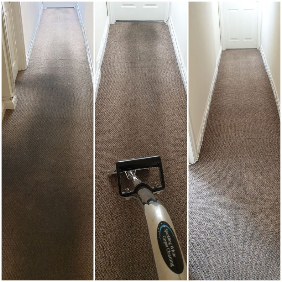 hallway carpet cleaning