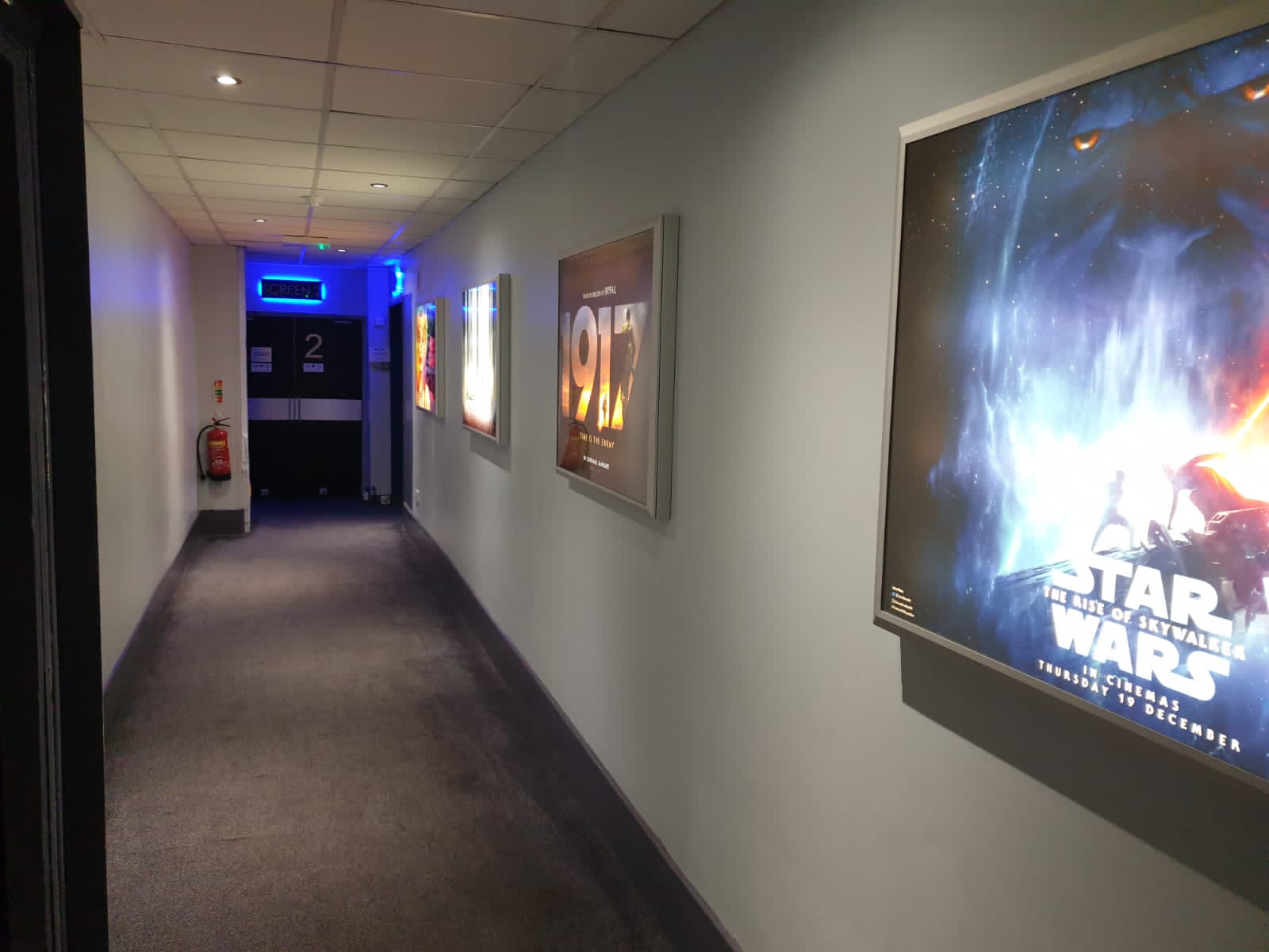 Commercial Carpet Cleaning in Plymouth