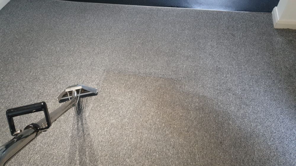 carpet cleaning plymouth