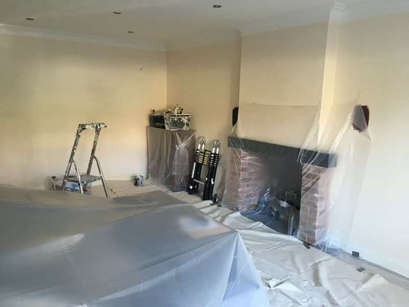 painter in newcastle