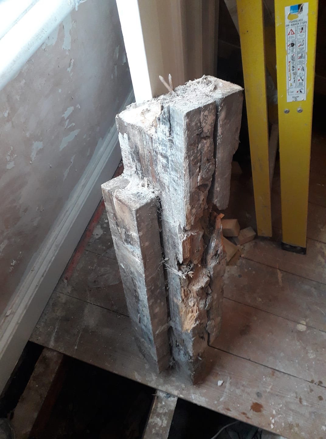 Dry rot in floor beam