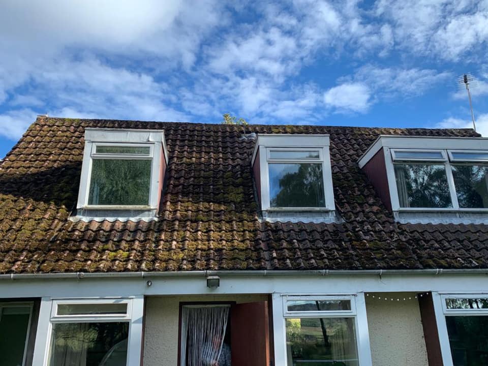 House after roof cleaning